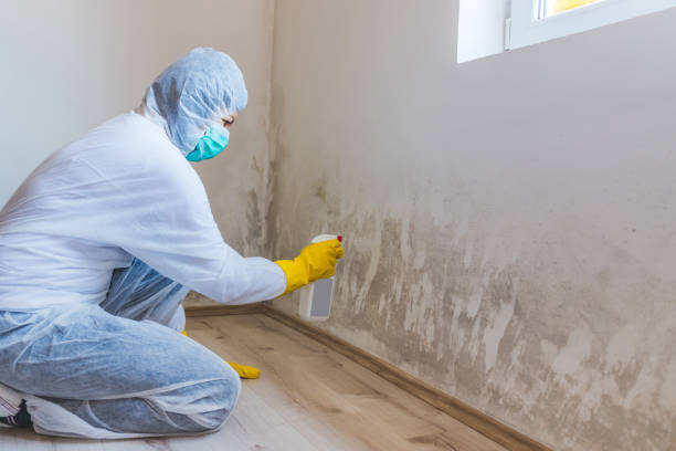 Licensed Mold Remediation service in Manasquan, NJ - WQB Mold Removal