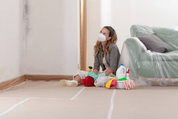 Reliable Mold Remediation contractor in Manasquan, NJ by WQB Mold Removal
